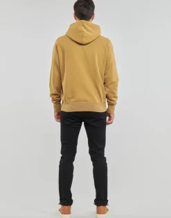 Polo Ralph Lauren SWEATSHIRT EN MOLLETON-Homme Sweats & Polaires