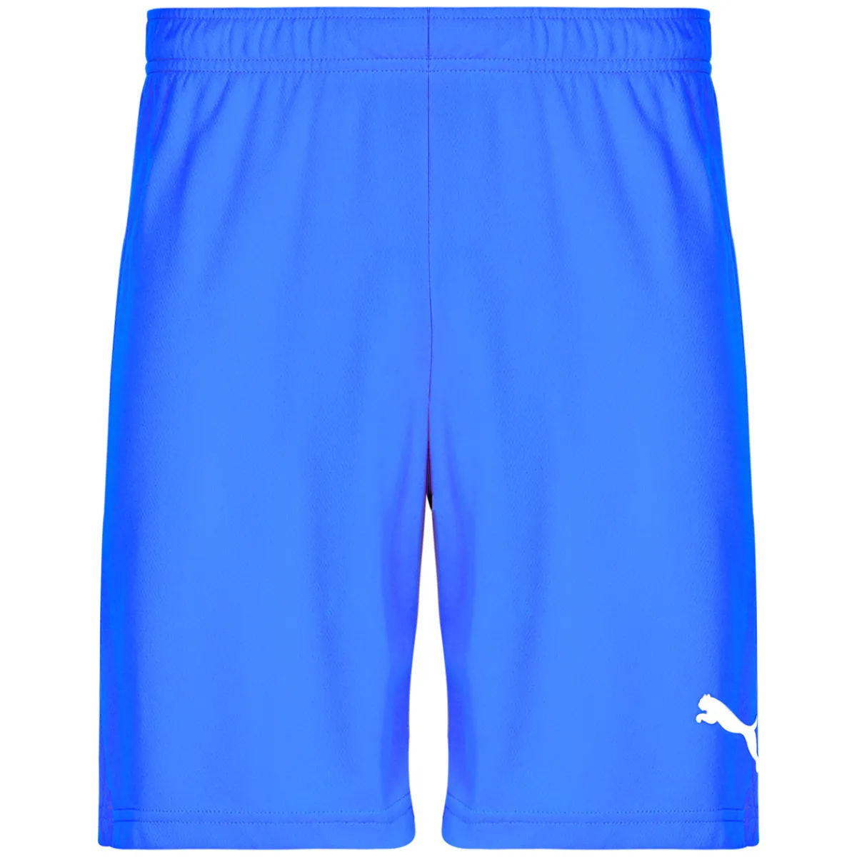 Puma TEAMRISE MATCHDAY-Homme Shorts & Bermudas