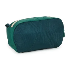 Patagonia TERRAVIA MINI HIP PACK-Homme Pochettes / Sacoches