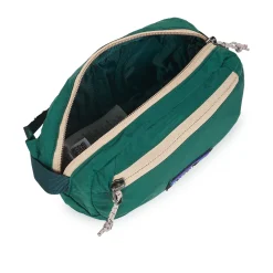 Patagonia TERRAVIA MINI HIP PACK-Homme Pochettes / Sacoches