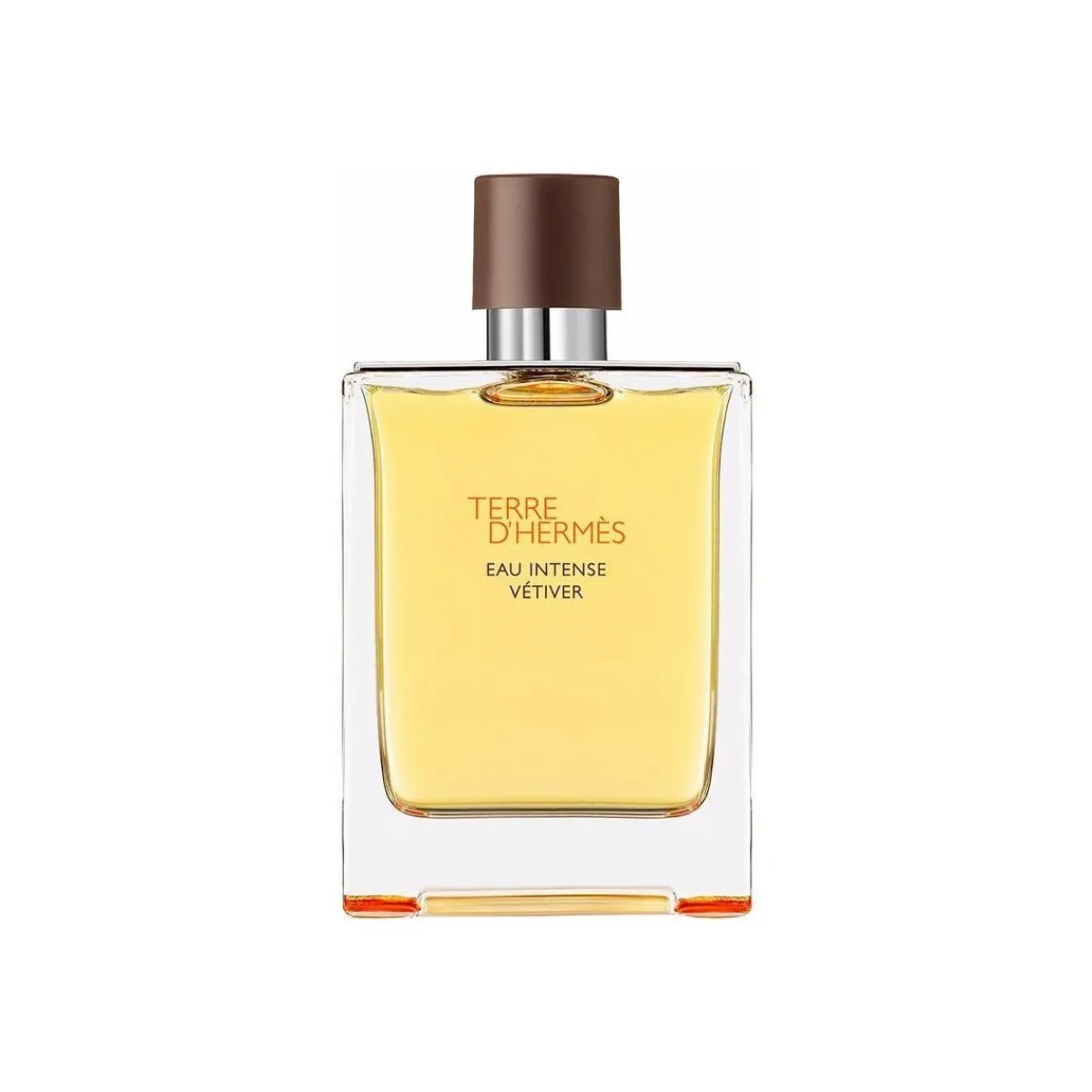 Hermès Paris Terre Eau Intense Vetiver - eau de parfum - 200ml-Homme Parfums