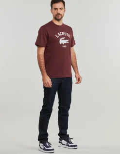 Lacoste TH2733-Homme T-Shirts & Polos
