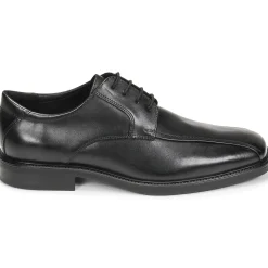 Geox U BRANDOLF-Homme Derbies & Richelieu