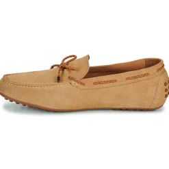 Brett & Sons 4389-VEL-BEGE--Homme Mocassins & Chaussures Bateau