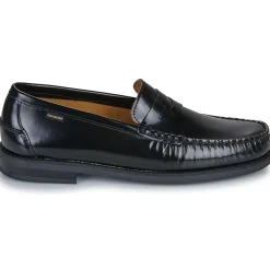 Carlington WILL-Homme Mocassins & Chaussures Bateau